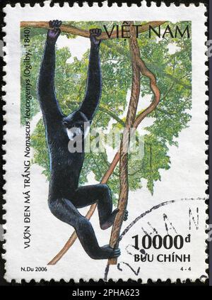 Gibbon à chetée blanche du nord (Nomascus leucogenys) sur timbre vietnamien Banque D'Images