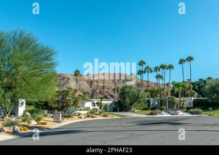 Le milieu du siècle moderne abrite une architecture et des palmiers à Palm Springs, en Californie Banque D'Images