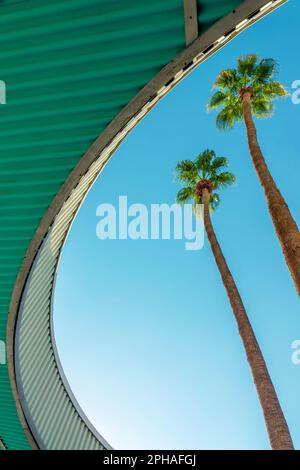 Hôtel de ville de Palm Springs, palmiers et architecture moderne, Californie Banque D'Images