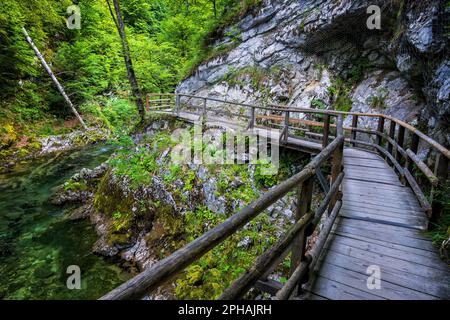 La gorge de Vintgar en Slovénie, paysage pittoresque avec chemin en bois surélevé le long de la rivière de montagne Radovna dans le parc national de Triglav, Alpes juliennes. Banque D'Images