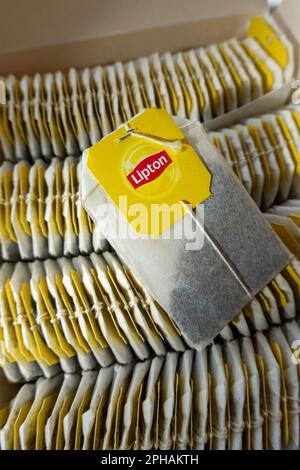 Une boîte complète de sachets de thé Lipton, 2023 Banque D'Images