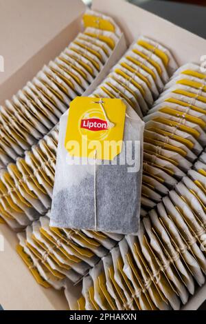 Une boîte complète de sachets de thé Lipton, 2023 Banque D'Images