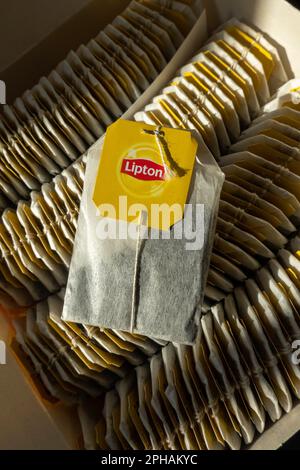 Une boîte complète de sachets de thé Lipton, 2023 Banque D'Images