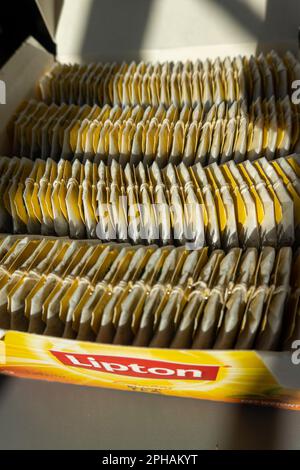 Une boîte complète de sachets de thé Lipton, 2023 Banque D'Images