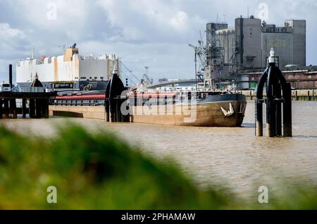 Emden, Allemagne. 27th mars 2023. Le barge « Rhein » est amarré à une jetée dans le port extérieur, tandis qu'en arrière-plan un transporteur de voitures est amarré à un mur de quai au port de voiture. Le ministère de l'économie de Basse-Saxe, l'autorité portuaire de Basse-Saxe et les compagnies ports maritimes de Niedersachsen, Niedersachsen ports et JadeWeserPort Realizierungs GmbH & Co KG a présenté un rapport sur la situation actuelle des ports maritimes de Basse-Saxe lors d'une conférence de presse. Credit: Hauke-Christian Dittrich/dpa/Alay Live News Banque D'Images