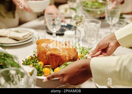 Main de jeune femme noire mettre une assiette avec de la volaille rôtie maison et des tomates fraîches et de la laitue sur la table du dîner servi Banque D'Images