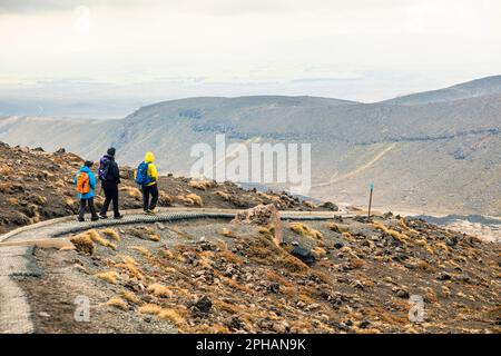 Vue sur South Crater le long du Tongariro Alpine Crossing. Prise dans le parc national de Tongariro, Nouvelle-Zélande Banque D'Images