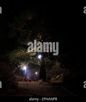 Une fille est assise par un foyer, un foyer en métal entouré de bancs en bois, avec une figure de cheval, se tient la nuit dans l'obscurité sous un arbre avec un lan Banque D'Images