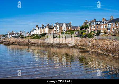 Maisons en bord de mer dans la ville côtière écossaise d'Elie à East Neuk de Fife, Écosse, Royaume-Uni Banque D'Images