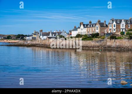 Maisons en bord de mer dans la ville côtière écossaise d'Elie à East Neuk de Fife, Écosse, Royaume-Uni Banque D'Images