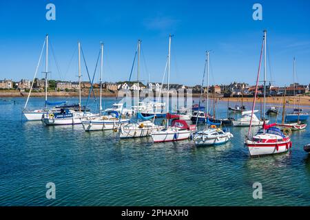 Bateaux amarrés dans le port d'Elie avec la plage et la ville d'Elie en arrière-plan - Elie, Neuk est de Fife, Écosse, Royaume-Uni Banque D'Images