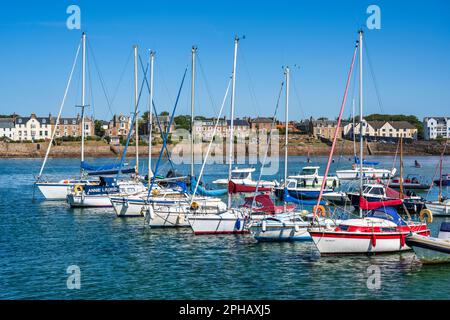 Bateaux amarrés dans le port d'Elie avec des maisons en bord de mer en arrière-plan - Elie, Neuk est de Fife, Écosse, Royaume-Uni Banque D'Images