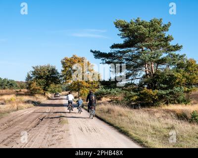 Les gens qui font du vélo sur la piste cyclable dans la réserve naturelle de Veluwe près de Kootwijk, Gelderland, pays-Bas Banque D'Images