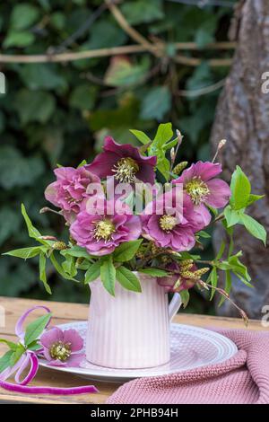 bouquet de roses de lenten roses dans une boîte de lait dans le jardin Banque D'Images