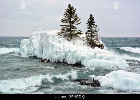 Les vagues dépassent un îlot enfermé dans la glace et surmontée de deux arbres à feuilles persistantes Banque D'Images