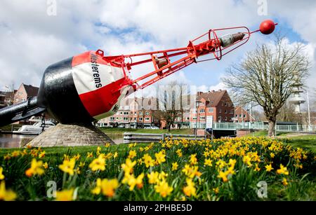 Emden, Allemagne. 27th mars 2023. De nombreux jonquilles fleurissent sur une prairie à Falderndelft, en face de la bouée d'approche historique Westerems. Credit: Hauke-Christian Dittrich/dpa/Alay Live News Banque D'Images