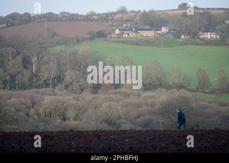 Un homme marche sur une terre labourée près du village cornish de Mawnan Smith, le 23rd mars 2023, à Mawnan Smith, en Cornouailles, en Angleterre. Banque D'Images