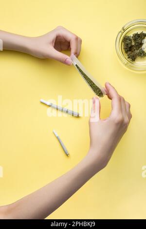 Dans les mains des femmes il y a du papier pour une articulation, un filtre et plusieurs bourgeons de marijuana médicale sèche, à côté de deux joints prêts-à-faire de différentes tailles et Banque D'Images
