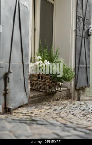 Des fleurs fraîchement coupées, exposées dans un panier rustique en osier, assis sur un rebord de fenêtre près d'une route Banque D'Images