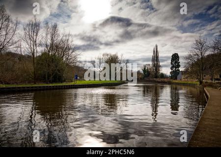 Arbres reflétés dans le canal à Low Sprotbrough en hiver. Banque D'Images