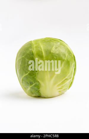 Un seul chou de Bruxelles Banque D'Images