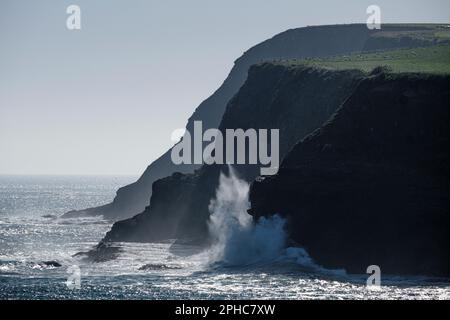 Une mer orageux sur la côte sauvage de la baie de Curio dans les Catlins, Île du Sud, Nouvelle-Zélande Banque D'Images