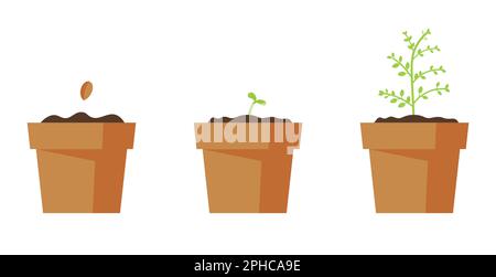 Processus de croissance de l'arbre de petite maison. Jardinage, concept de plantation. Illustration vectorielle en style plat Illustration de Vecteur