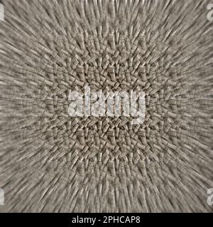 Photographie : CONCEPT In Vino Veritas Banque D'Images