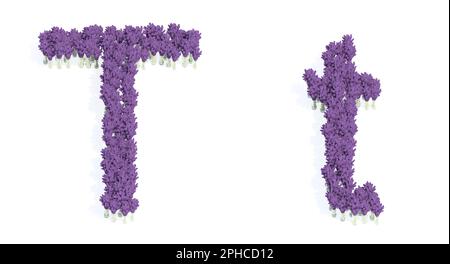 Concept ou ensemble conceptuel de superbes bouquets lupin en fleurs formant la police T. 3D métaphore d'illustration pour l'éducation, le design et la décoration Banque D'Images