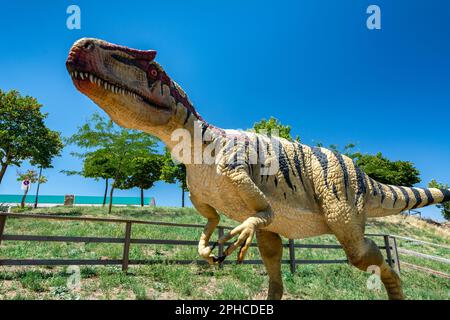Morella, Espagne - 09 août 2022 : l'exposition de dinosaures à Morella présente des modèles grandeur nature et des fossiles de créatures préhistoriques, offrant un fascinant Banque D'Images