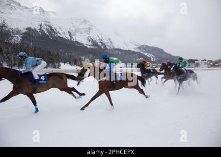 Chevaux en course dans le circuit de course de White Turf à St Moritz Banque D'Images