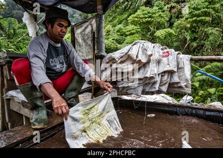 Extraction illégale de l'or à Java, en Indonésie, en Asie Banque D'Images