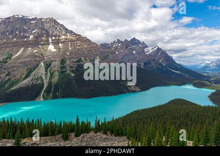 Lac Peyto, parc national Banff, Alberta, Canada. Banque D'Images