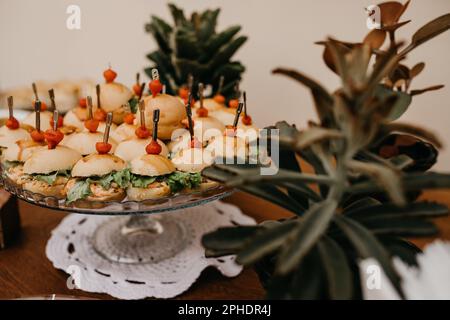 Une variété de plats délicieux sont présentés sur des assiettes, entourant une petite plante en pot, créant une présentation visuellement agréable Banque D'Images