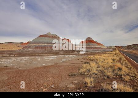 Parc national de la forêt pétrifiée, site d'attraction naturel avec de nombreux troncs d'arbres pétrifiés et fossiles, en Arizona, aux États-Unis. Banque D'Images