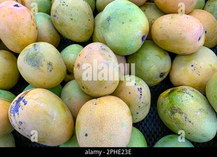 Une pile de mangues tropicales fraîches et colorées dans le supermarché Banque D'Images