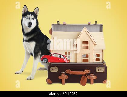 Chien mignon près d'une valise rétro avec modèle de maison et voiture miniature sur fond jaune Banque D'Images
