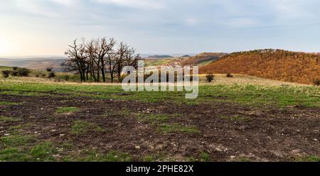 Belle vue depuis le pré en dessous de la colline du Devin dans les montagnes de Palava en République tchèque pendant le printemps matin Banque D'Images