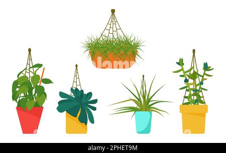 Ensemble de plantes de maison. Intérieur design scandinave. Elément de conception. Illustration vectorielle Illustration de Vecteur
