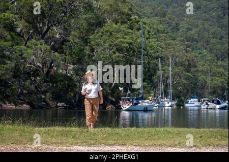 Bombbin se dirige dans le parc national de Kurant-Gai Chase, en Nouvelle-Galles du Sud, en Australie, où la rivière Hawkesbury coule dans l'océan Pacifique. Banque D'Images