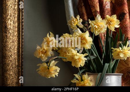Jonquilles en fleurs dans le seau en fer, collection vintage STILL Life, design d'intérieur art Banque D'Images