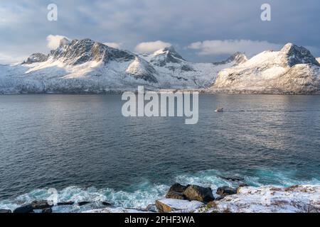Fischer am Morgen, Schiff im Øyfjorden, mit den schneebematten Bergen von Senja, genannt Segla, Kongan und Skuran im hintergrund. Norwegen Banque D'Images