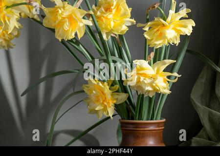 Jonquilles en fleurs dans le seau de fer, vintage encore la vie Banque D'Images
