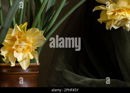 Jonquilles en fleurs dans le seau de fer, vintage encore la vie Banque D'Images
