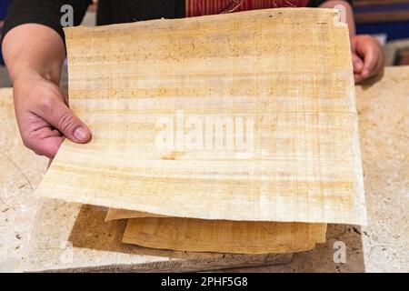 Une démonstration de papier papyrus fait par un égyptien local à Gizeh, en Égypte Banque D'Images