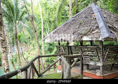 Deux cabanes en bois aux toits de chaume au milieu d'une forêt dense à Bohol, Philippines. Banque D'Images