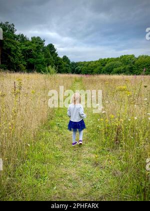 Une petite fille marche dans un sentier à travers un pré de fleurs sauvages. Banque D'Images