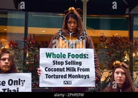 Londres, Royaume-Uni. 28th mars 2023. Les activistes PETA habillés de singes enchaînés ont déversé des noix de coco en dehors de Whole Foods Market près de Piccadilly Circus pour protester contre la chaîne de supermarchés vendant du lait de coco en provenance de Thaïlande. Selon PETA, leurs enquêtes ont révélé l'utilisation systémique de singes enlevés dans la nature et forcés de cueillir des noix de coco à des fins commerciales. Credit: Vuk Valcic/Alamy Live News Banque D'Images