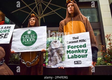 Londres, Royaume-Uni. 28th mars 2023. Les activistes PETA habillés de singes enchaînés ont déversé des noix de coco en dehors de Whole Foods Market près de Piccadilly Circus pour protester contre la chaîne de supermarchés vendant du lait de coco en provenance de Thaïlande. Selon PETA, leurs enquêtes ont révélé l'utilisation systémique de singes enlevés dans la nature et forcés de cueillir des noix de coco à des fins commerciales. Credit: Vuk Valcic/Alamy Live News Banque D'Images