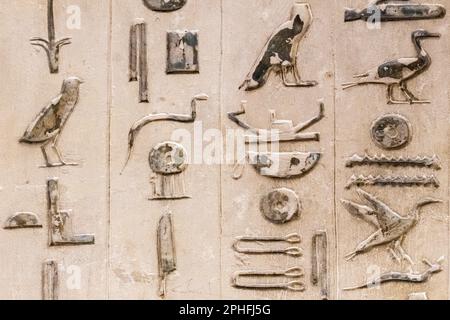 Inscriptions hiéroglyphiques authentiques à l'intérieur d'une chambre de sépulture souterraine par la Pyramide de Djoser à la nécropole de Saqqara à Gizeh, en Égypte Banque D'Images